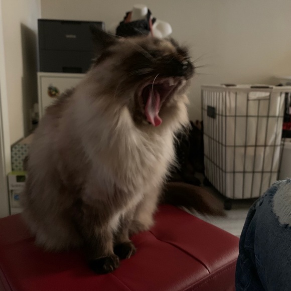 Check out my closet! 💃🏻 - Picture 14 of 16